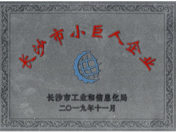 2019年度被认定为长沙市小巨人企业