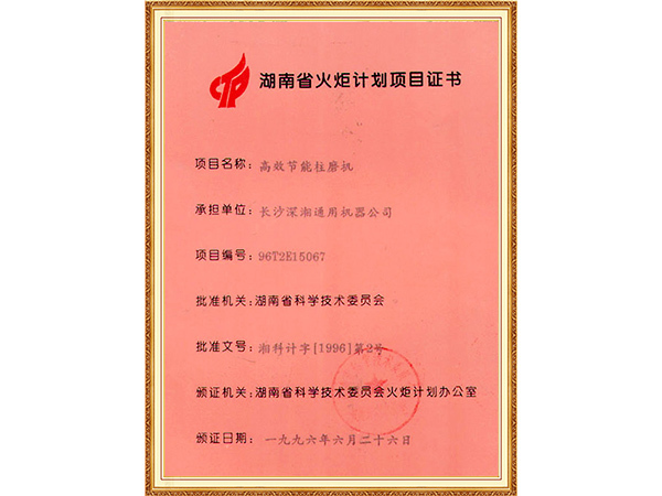 1996湖南省火炬计划项目证书