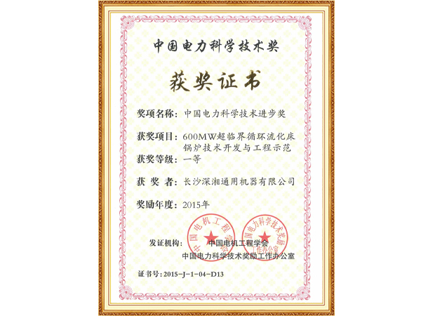 2015年中国电力科学技术进步一等奖